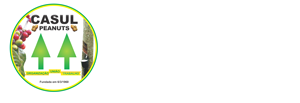 Casul Peanuts